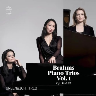 Piano trios vol. 1
